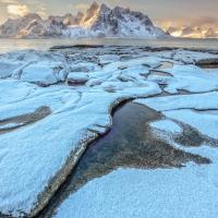 First Light, Liz Akers