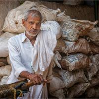 Cart Wallah Taking a Break by Paul Richards