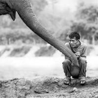 Empathy Between Friends - Paul Richards