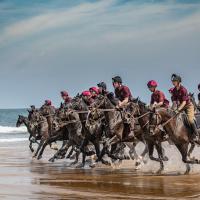 Riders by Andy Bamforth